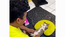Massage timee. . 😸😸😸