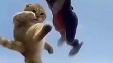 Me vs Ultraman 🙀🙀