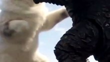 Me vs Ultraman part two 2 🙀🙀🙀