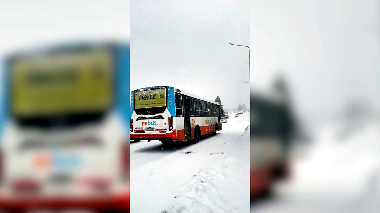 Temporal de nieve: declararon la alerta climática en Bariloche