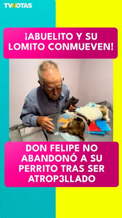 Don Felipe y su lomito conquistan las redes tras fuerte accidente del perrito.