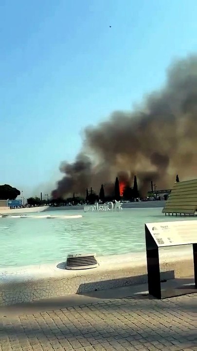 Un nuevo incendio en las proximidades de La Ciutat de les Arts i les Ciències de Valencia.