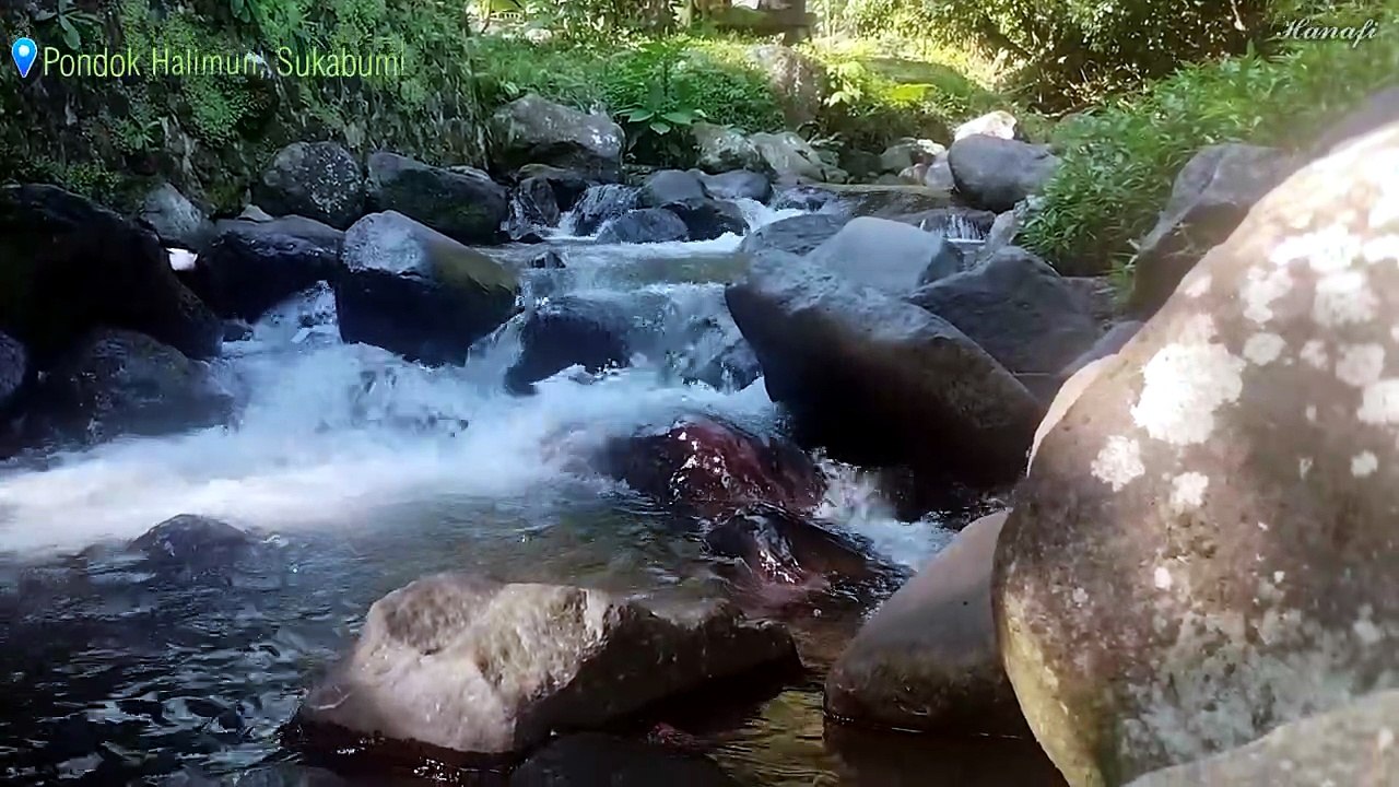 Relaxing River Sound | Forest Sounds | Nature Sounds