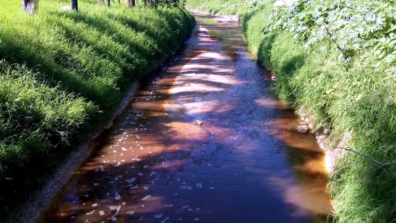Denuncian que basureros contaminan río Milpillas en Zapopan