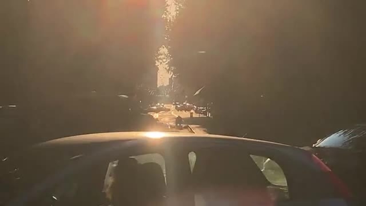 Il video dell'intervento degli artificieri a Bologna: la valigia trovata vicino alla fermata del bus