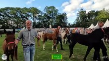 2025 24 augustus Haadklasse Priisútrikking