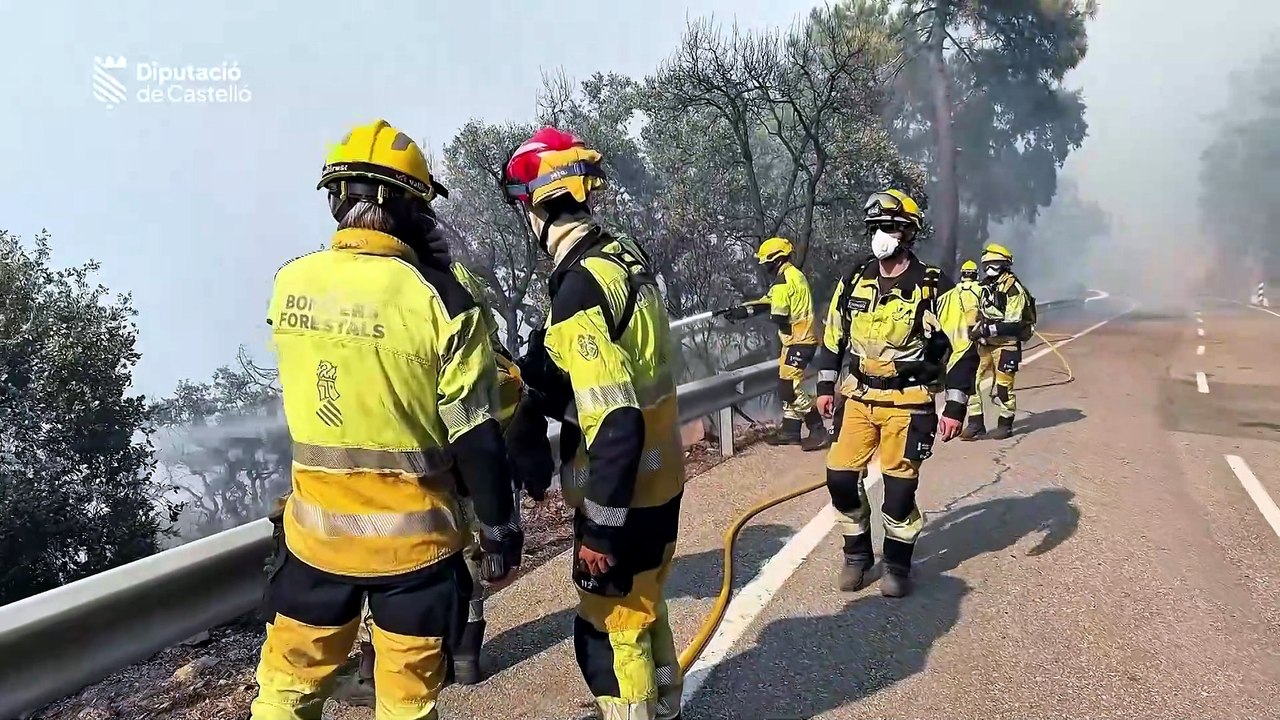 Más de 100.000 afectados y miles de hectáreas quemadas en Madrid, Ávila, Castellón y Toledo