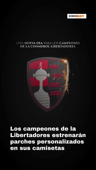 Nuevos parches Copa Libertadores