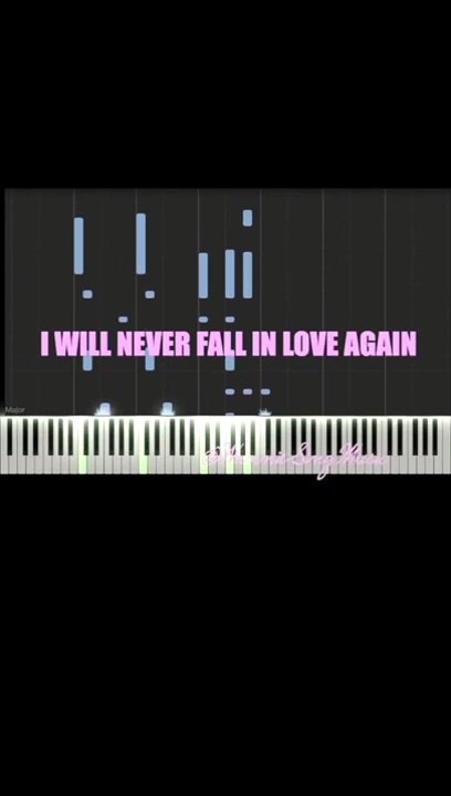 I will never fall in love again