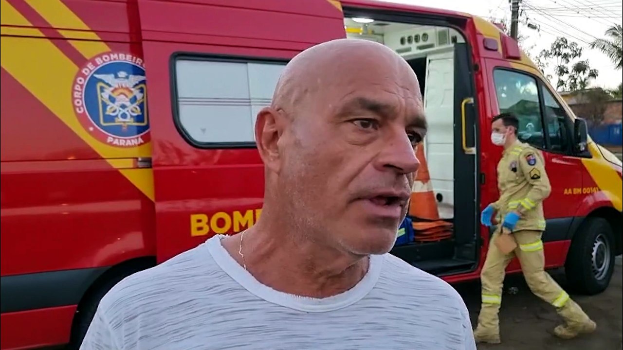 Moradores denunciam ataques frequentes de cães comunitários após homem ser mordido