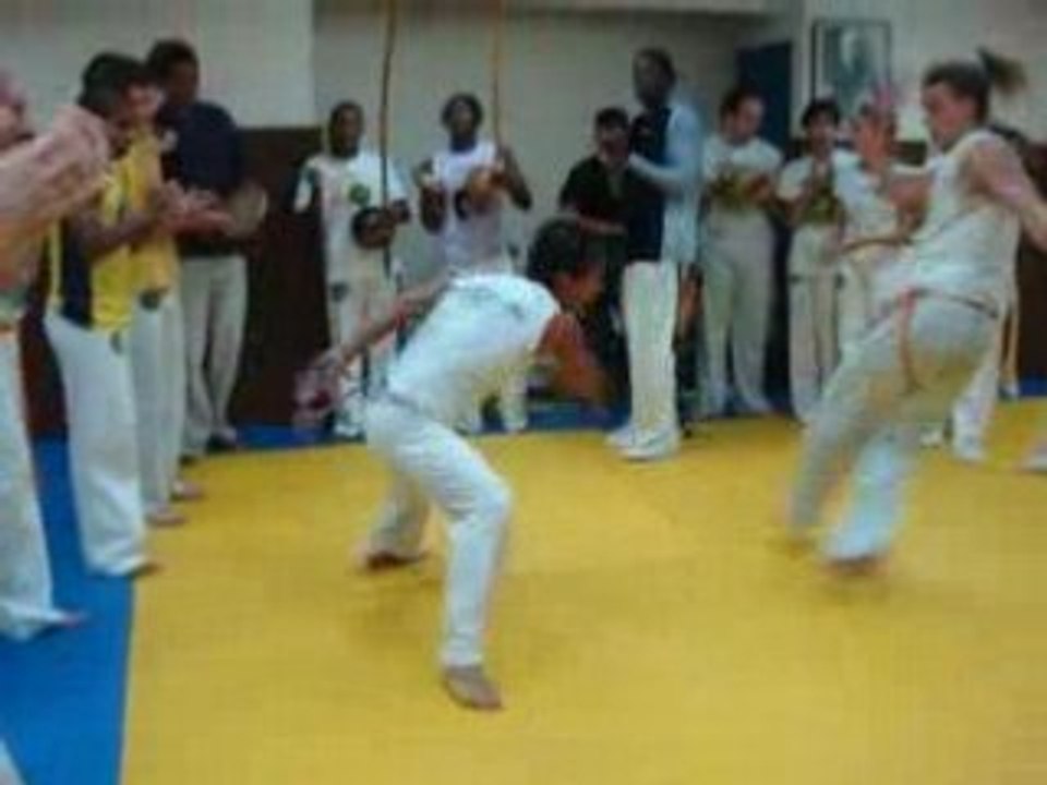 Stage Du Mois de Juillet Capoeira Saint Germain En Laye.