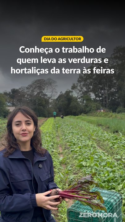 Dia do agricultor: veja como é a rotina de um produtor rural em dia de feira