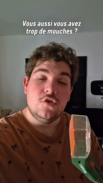 Ce que je fais quand j'ai trop de mouches