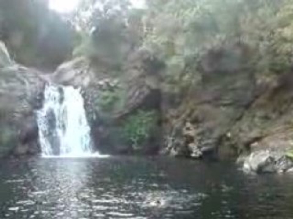 V060708_15.19