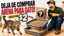 Idea genial para hacer tu propio sistema de arena para gatos ¡más barato de lo que imaginas!