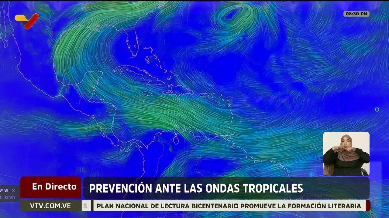 Conozca cómo la prevención es clave ante la llegada de las ondas tropicales