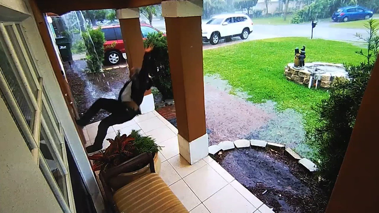 Wild Fails