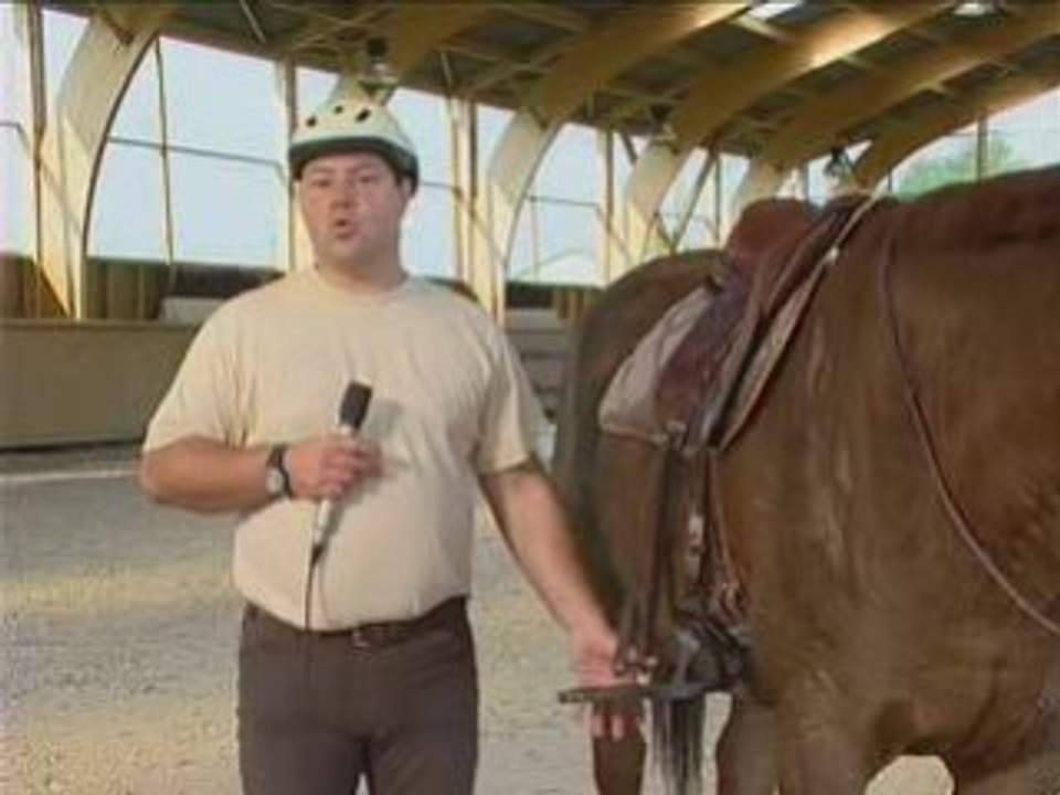 équitation TREC Tristan Gracient étriers K'VALL