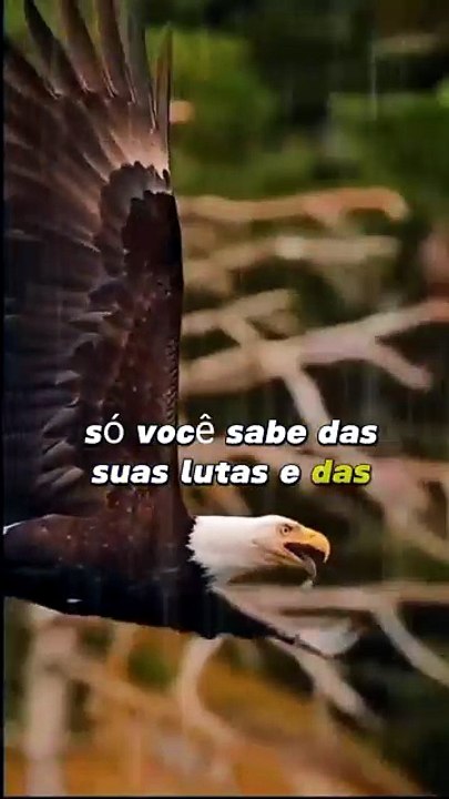 Reflexão