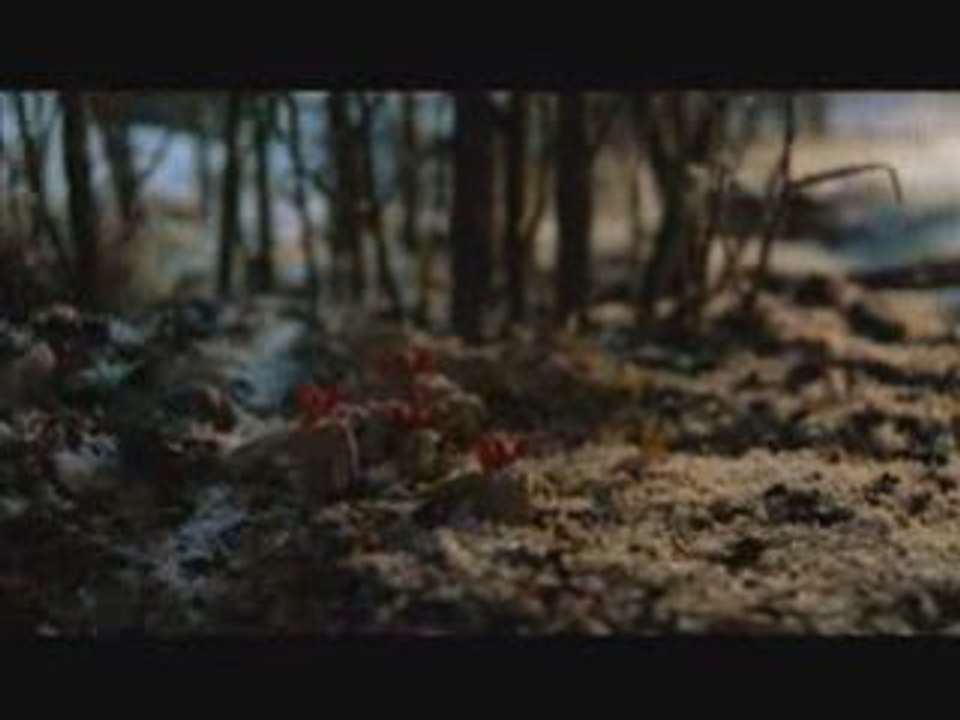 Fleet Foxes - White Winter Hymnal