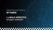 Strike Force Faben arrest