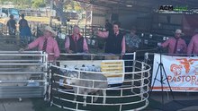 Top-priced white Dorper at the 18th Annual DSSA QLD