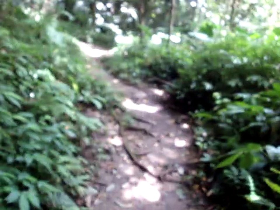 260720龍潭石門山景春步道-10