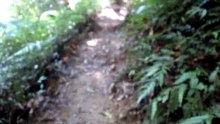 260720龍潭石門山景春步道-12