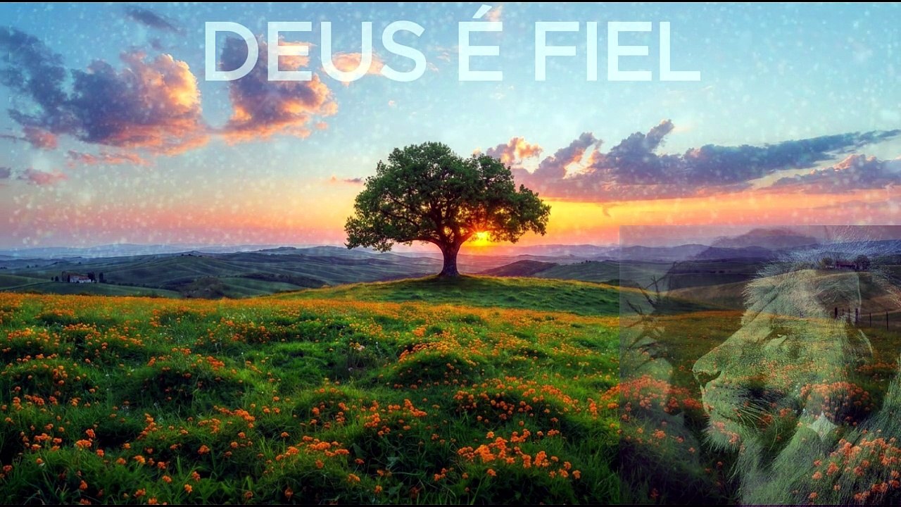 Espírito Santo de Deus 🙏 | 100 Louvores de Adoração para Sentir a Presença de Deus | Gospel 2026