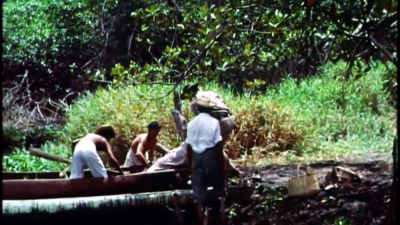 Il sacrificio della vergine (1959)