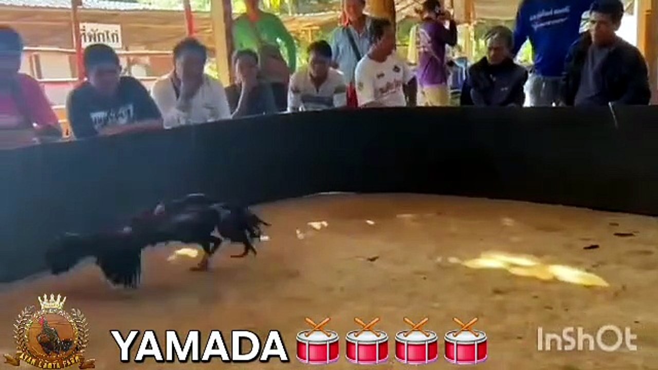 YAMADA ARENA