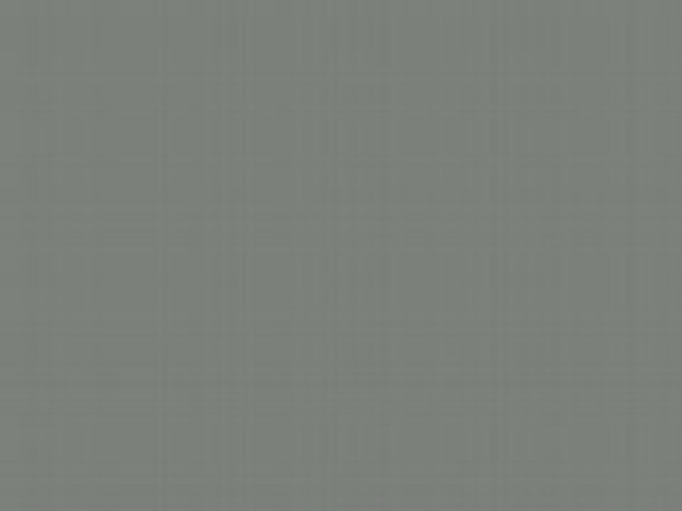 WEB CAM