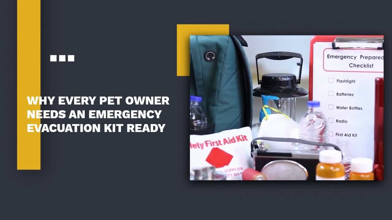 12 Essential Items for Your Pet’s Emergency Eva...
