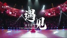 龍梅子-遇見(Live於2023.11.25無錫站)『就像雨後遇見了一道彩虹雪花遇見了冬天的夢走過這座城』#龍梅子 #遇見(Live於2023.11.25無錫站)【動態歌詞/Lyrics Video】