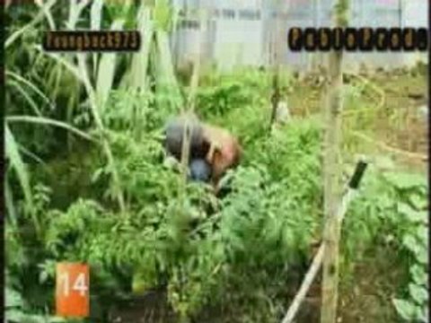 Tiwony - Prié Jah -