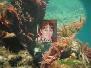 La communauté des bobos