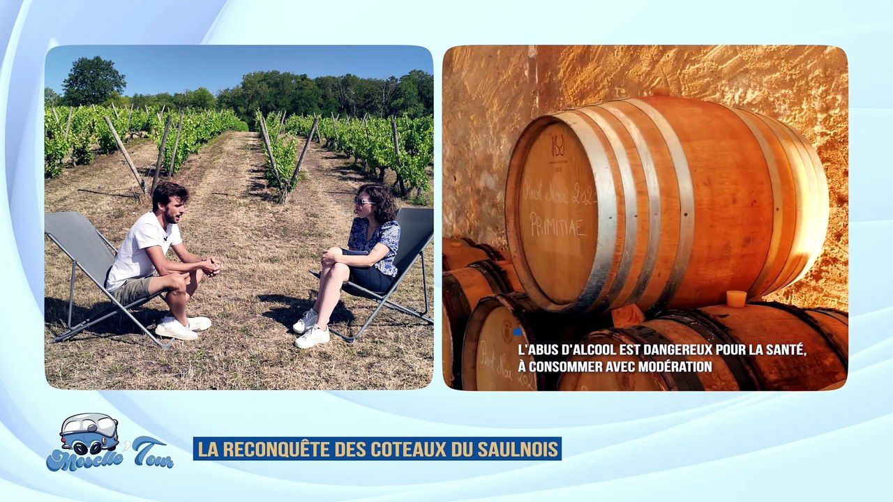 Les vignes du Saulnois reprennent des couleurs - Moselle Tour #2