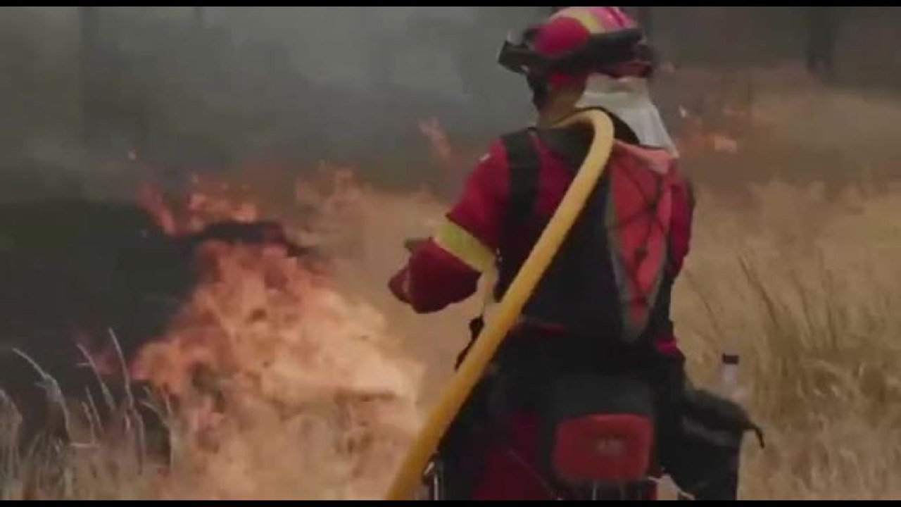 I pompieri che lottano nell'inferno di fuoco vicino a Madrid
