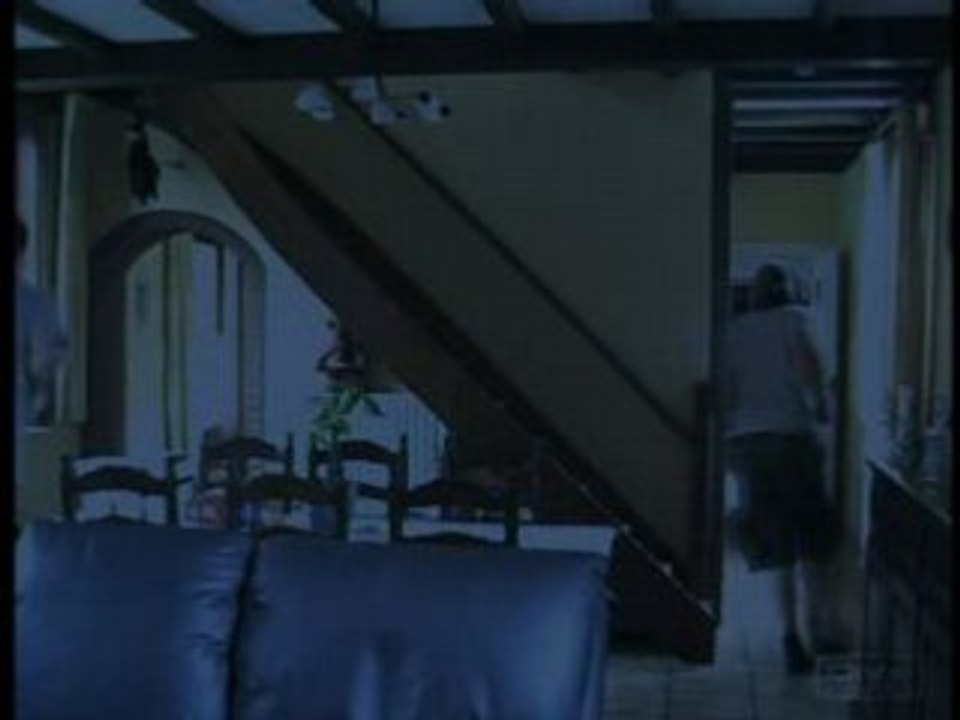 C't'enfoiré d'moustique - le clip !