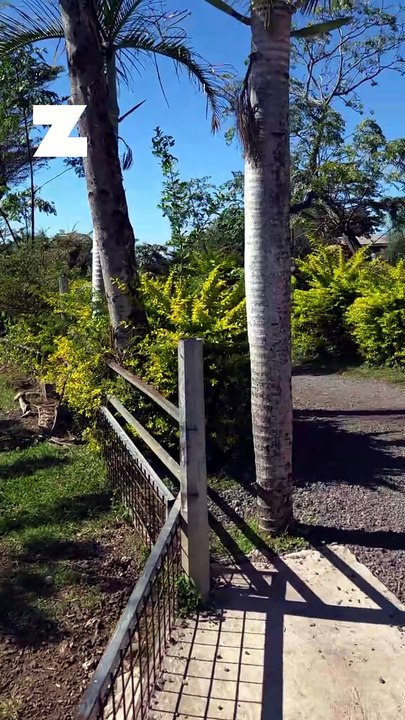 "On n’en peut plus" : la ferme pédagogique du Domaine Palssade va fermer, Daniel Vee lance un appel