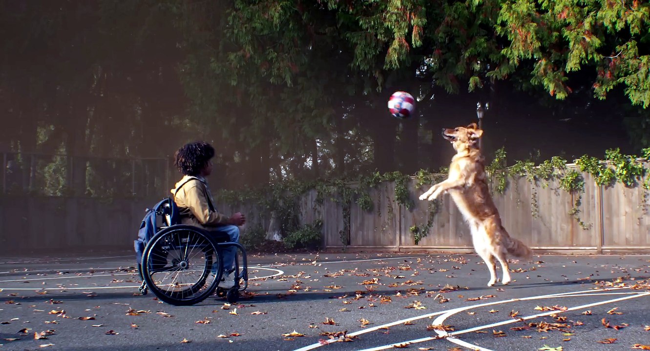 Air Bud fait son retour sur les parquets : bande-annonce du nouveau film (2026)