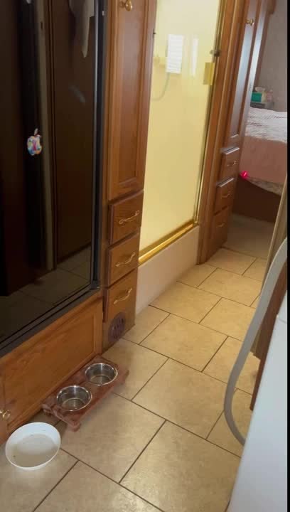 Cat Slams Into Window While Chasing Laser Pointer