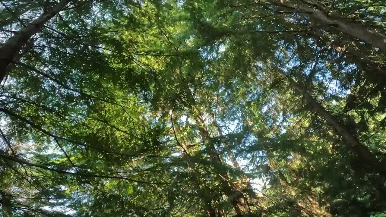 Mountain Bike Rider Crashes Hard While Trying to Cut Corner When Racing With Friends