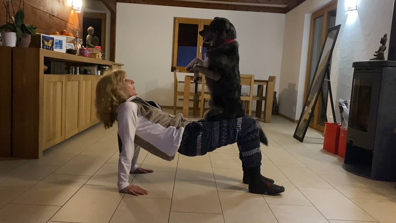 Heartwarming Rescue Dog Joins Owner’s Fitness Routine