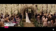 Twilight - Chapitre 4 : révélation