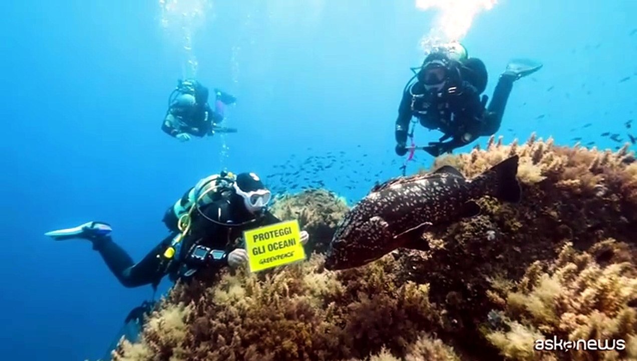 Greenpeace: mari italiani più caldi, danni ai fondali