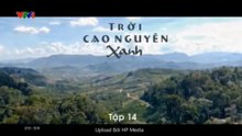Trời Cao Nguyên Xanh - Tập 14 - HP Media