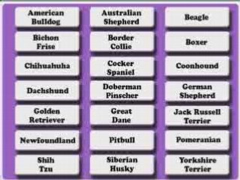 YouTube - Dog Training - for different Breeds