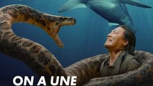 Et si tous ces animaux horribles étaient sympas en fin de compte ? 🐶