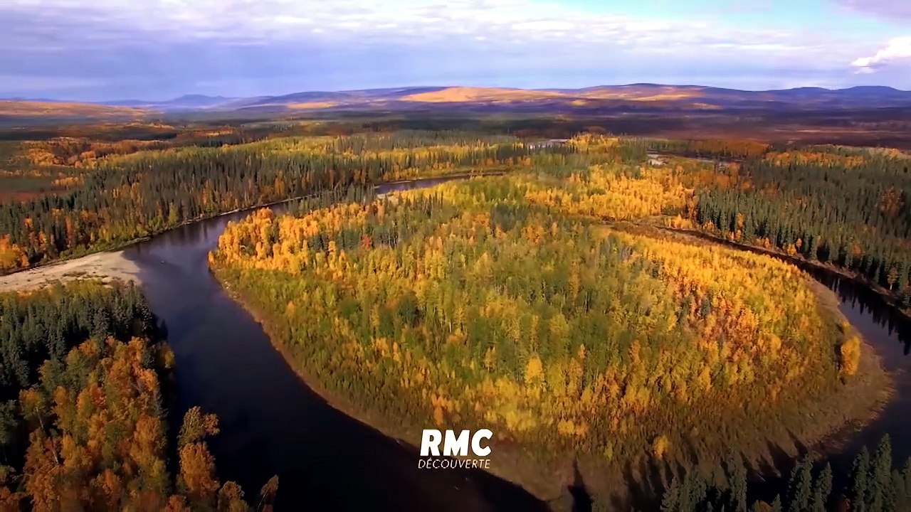 Into the Wild : Alaska